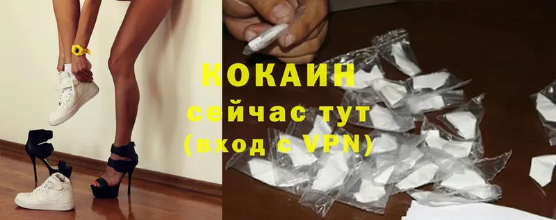 где купить наркоту  Онега  Cocaine Fish Scale 